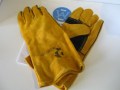 Gauntlets__Preda_4e859e41489a5