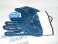 Gloves__Blue_Nit_4eb8ee0e0dda4